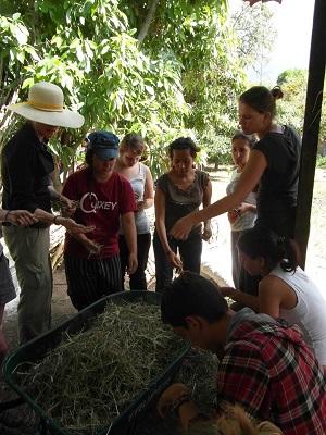 Communal work in Huitzo. Picture by Andrea Roeland